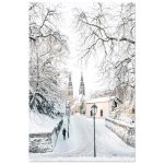 2665f765-d786-40fb-a0cd-130158bd102a