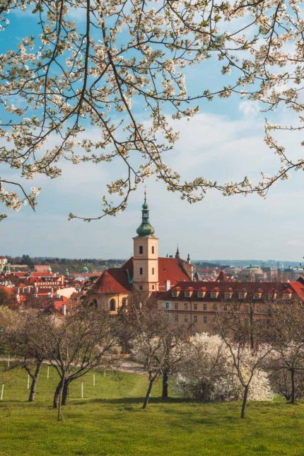 Prague during spring in Petrin Tower Fine Art Poster
