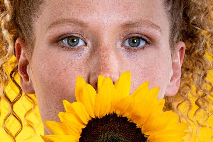 Close-Up with Sunflower and Bright Background Commercial Downloadable Photo - Image 1