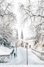 Snowy Basilica of St. Peter and Paul, Prague – Winter Scene  Fine Art Poster